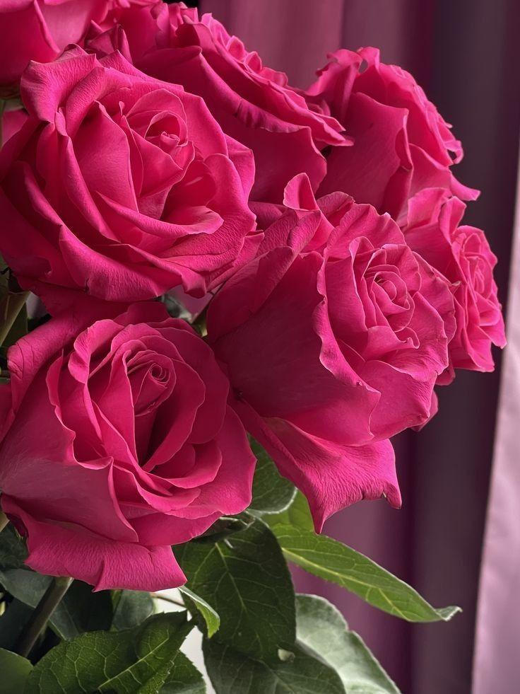Eternal Embrace Lush Rose Array